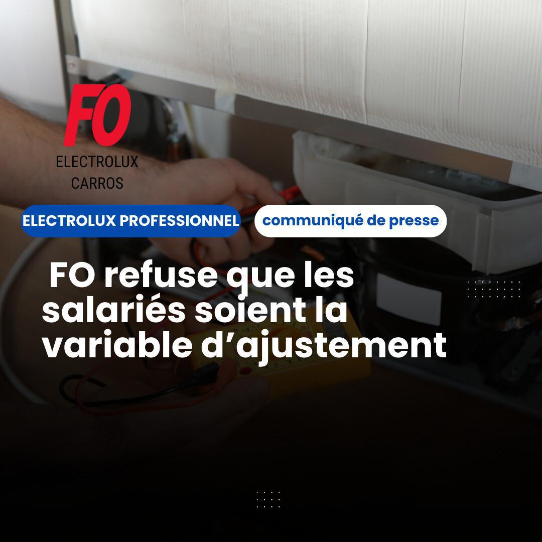 Electrolux Professionnel Carros : FO refuse que les salariés soient la variable d’ajustement 