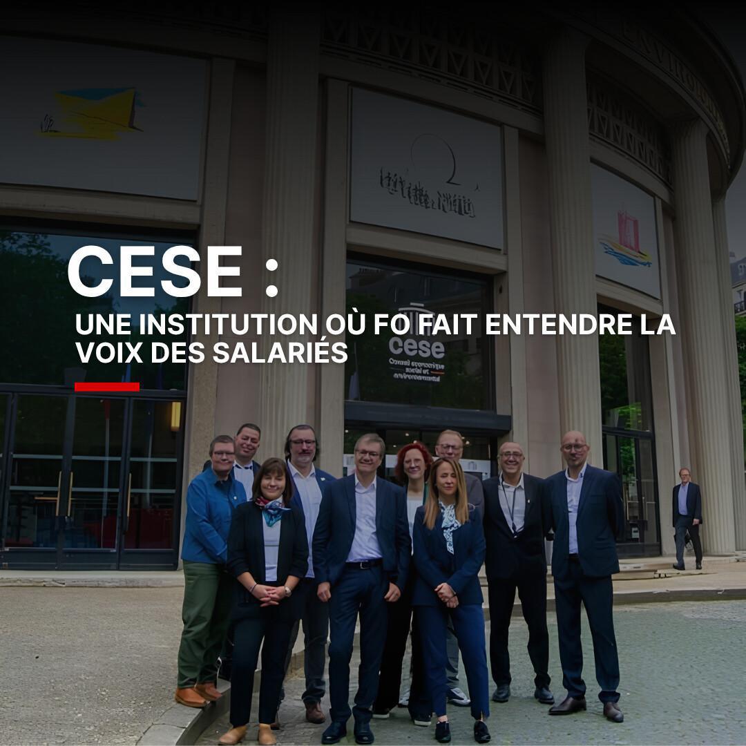 Le CESE : une institution où FO fait entendre la voix des salariés Le CESE : une institution où FO fait entendre la voix des salariés