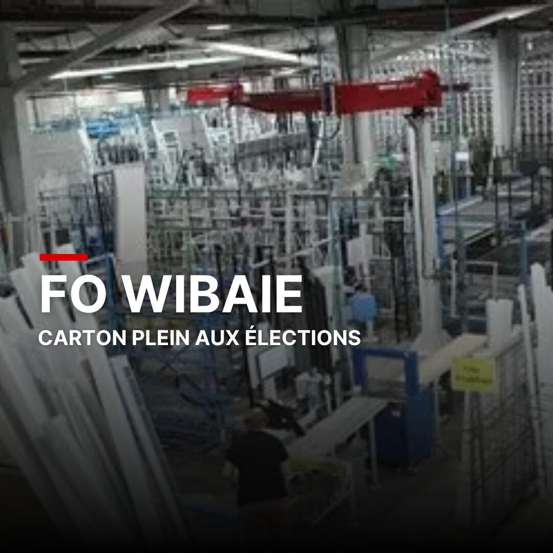 FO Wibaie : carton plein aux élections