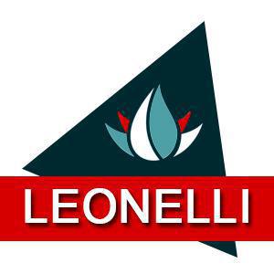 Leonelli Gas – Modena