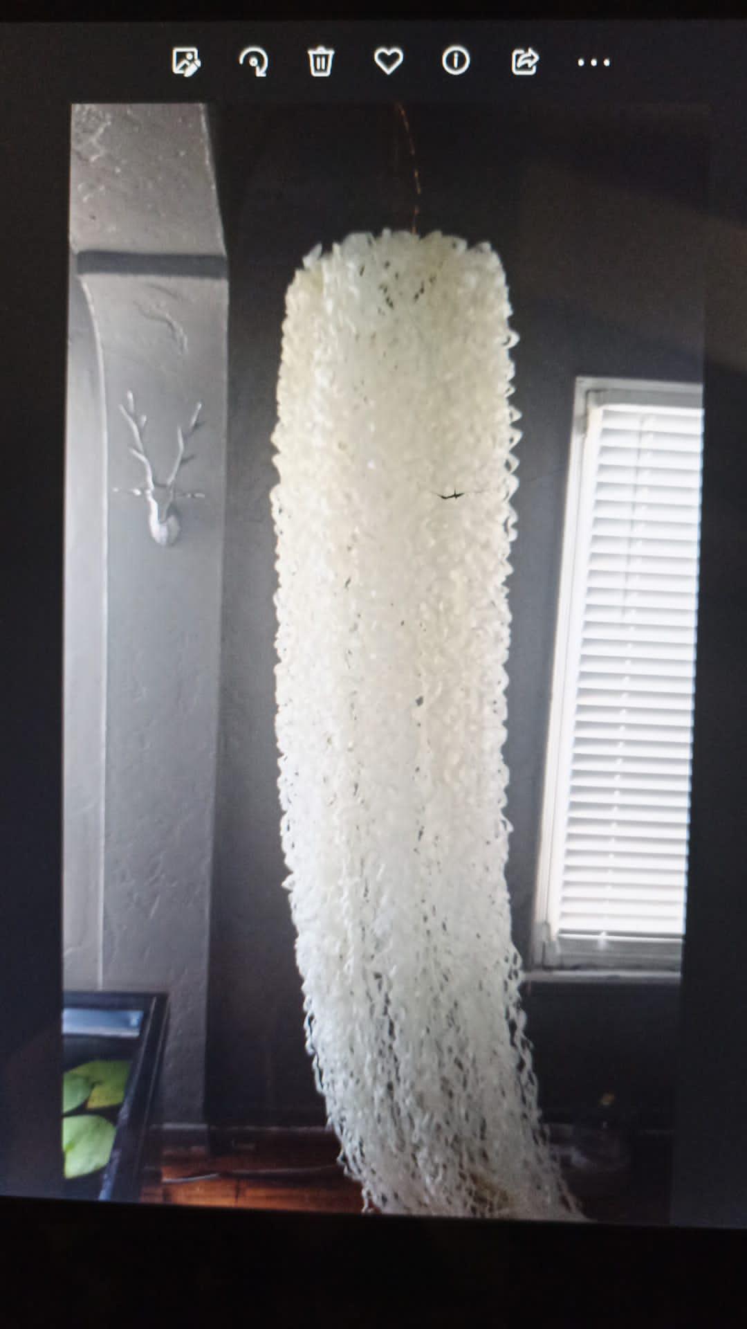 ACCIUGHEFELICI / Cole Saucier / Cristina Corti Fotografia / Fabio Ficicchia / GENOVALAMP