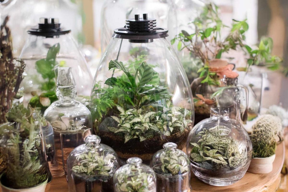 MOSS BY MARTI MOSS BY MARTI