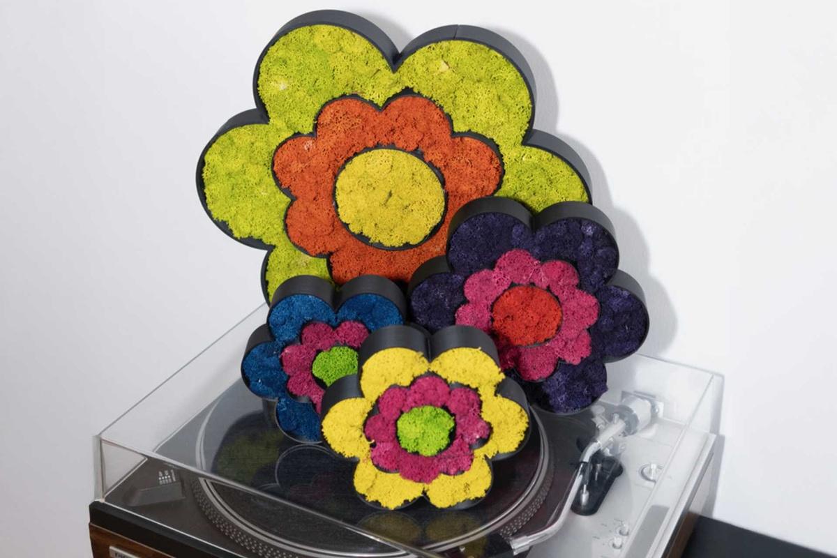 MOSS BY MARTI MOSS BY MARTI