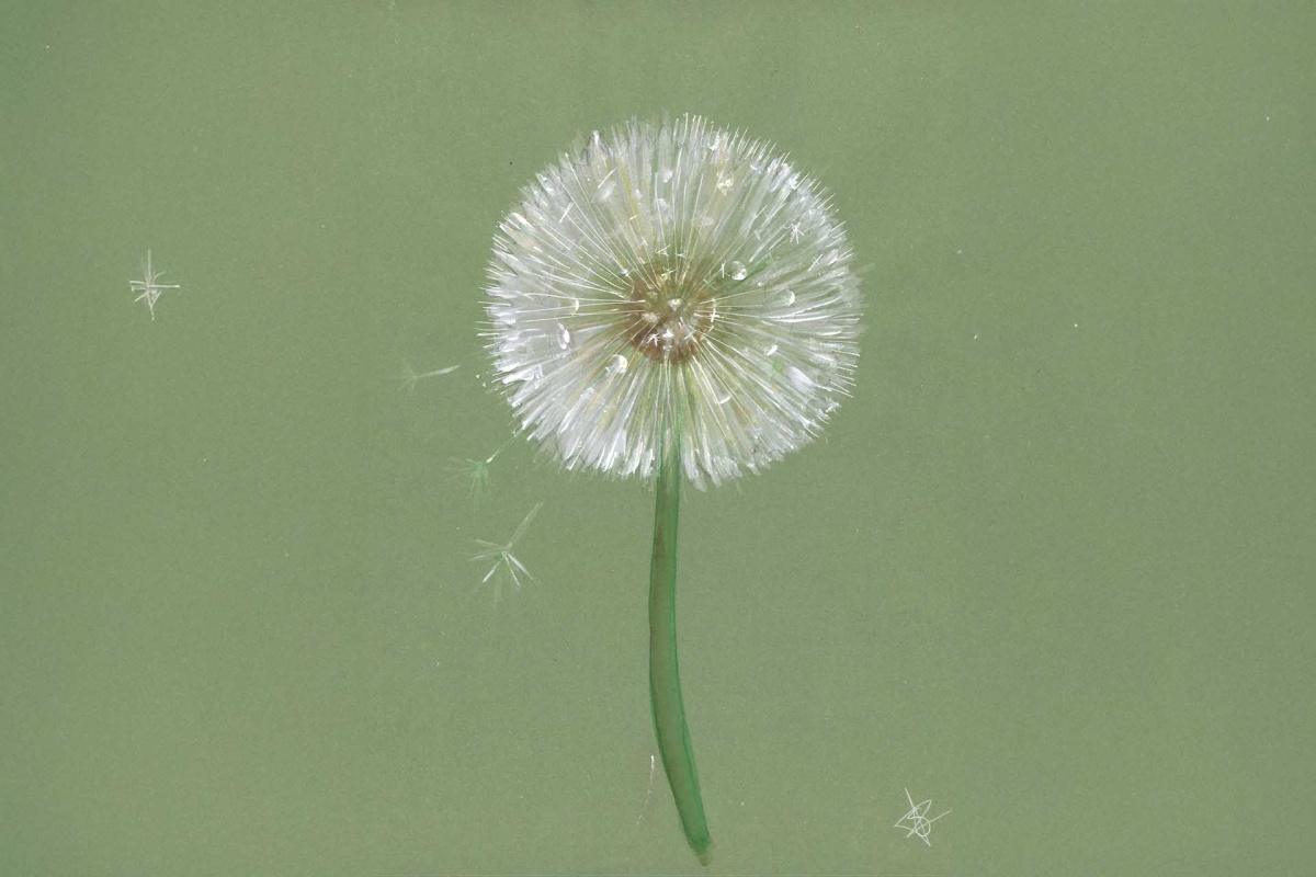 MATILDE BIANCHI - STEFANIA FRANCO MATILDE BIANCHI - STEFANIA FRANCO