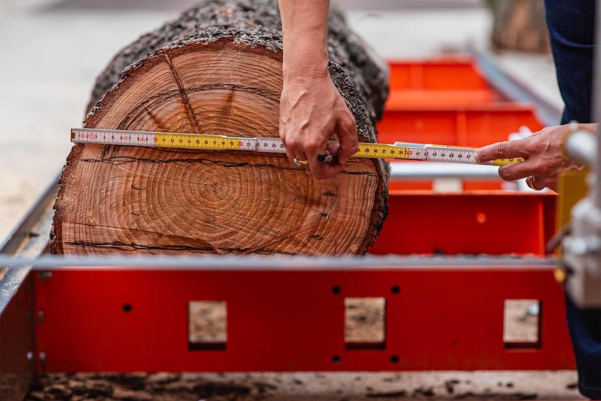 MONOSTUDIO ospitato da PIA - Perotta Iberto Architetti MONOSTUDIO ospitato da PIA - Perotta Iberto Architetti