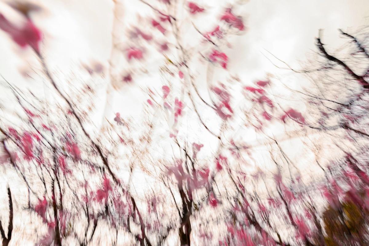 Cristina Corti Fotografia Cristina Corti Fotografia