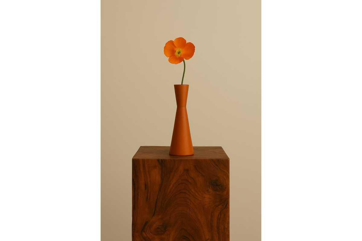 STUDIO TRAVERSI "in vetrina" presso Books in the piazza STUDIO TRAVERSI "in vetrina" presso Books in the piazza