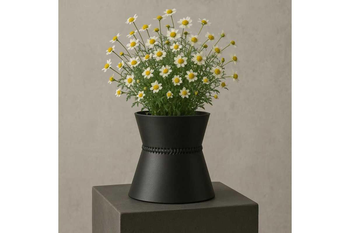 STUDIO TRAVERSI "in vetrina" presso Books in the piazza STUDIO TRAVERSI "in vetrina" presso Books in the piazza