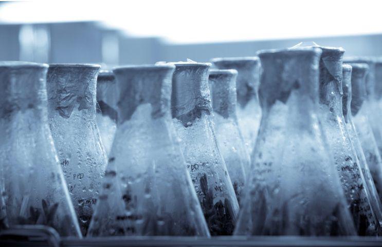 Ultra Low Température Ultra Low Température