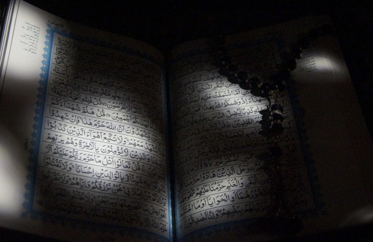 الـطـريـقـة الـدلائـيـة الـطـريـقـة الـدلائـيـة