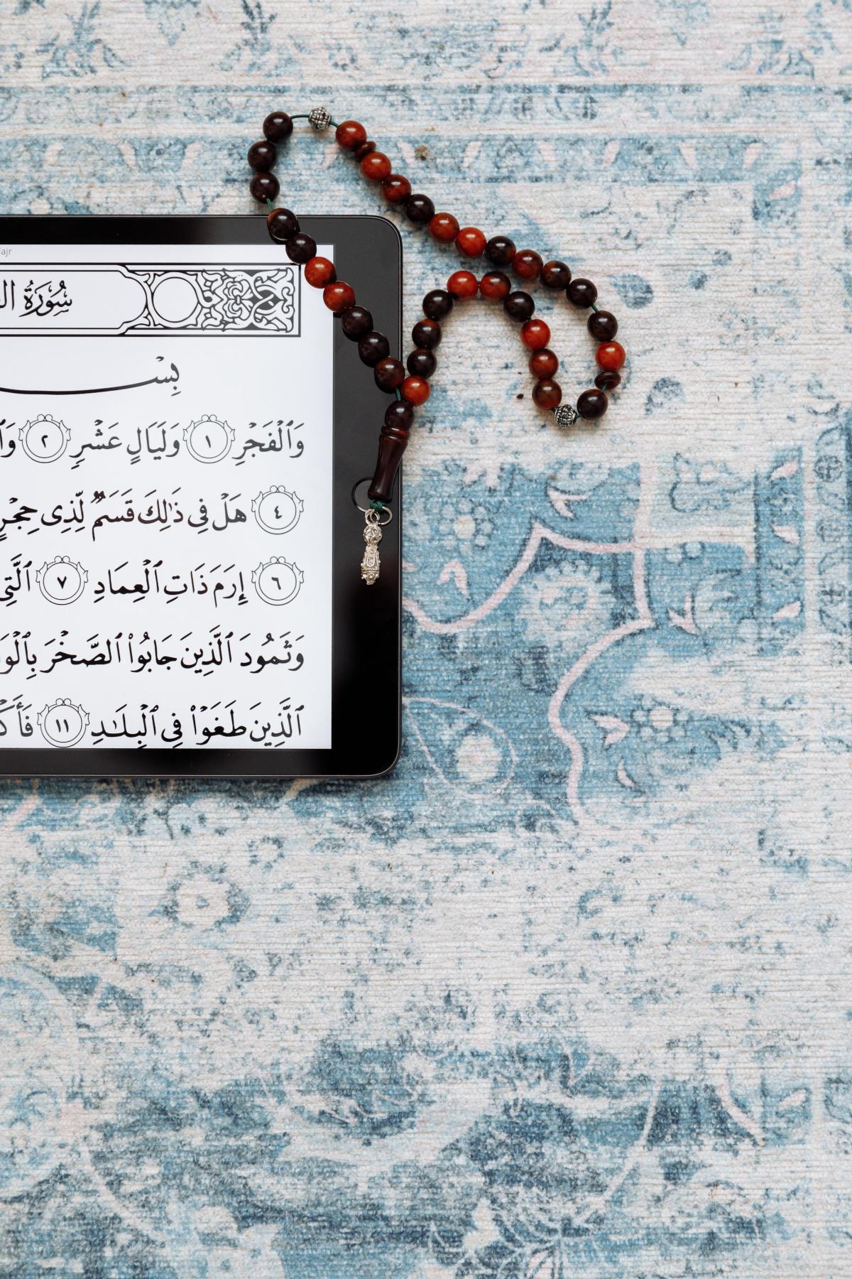 فقه نصوص العقيدة فقه نصوص العقيدة