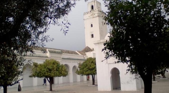 المسجد الكبير بتازة.. معلمة معمارية من إرث الحضارة الموحدية المسجد الكبير بتازة.. معلمة معمارية من إرث الحضارة الموحدية