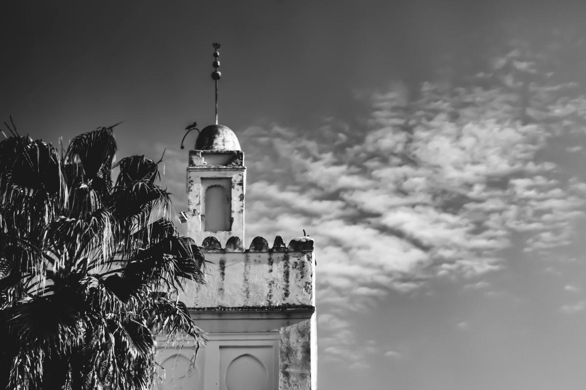 التصوف في المغرب — من الزهد إلى الطرق والزوايا