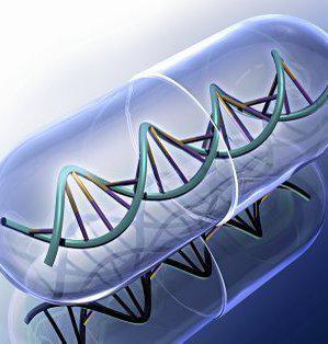 Identidad, tecnociencia y neo-colonialismo
