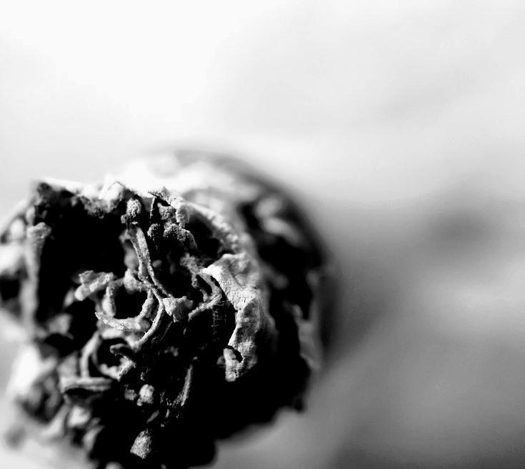 Acercándonos a la histiocitosis pulmonar