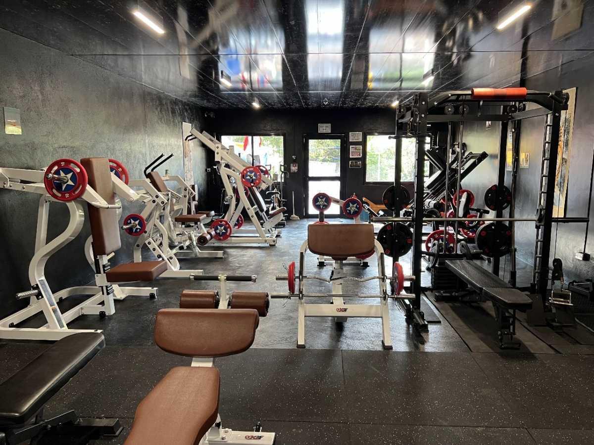 Golden Gorilla Gym ❄️ Aircon Fitness
