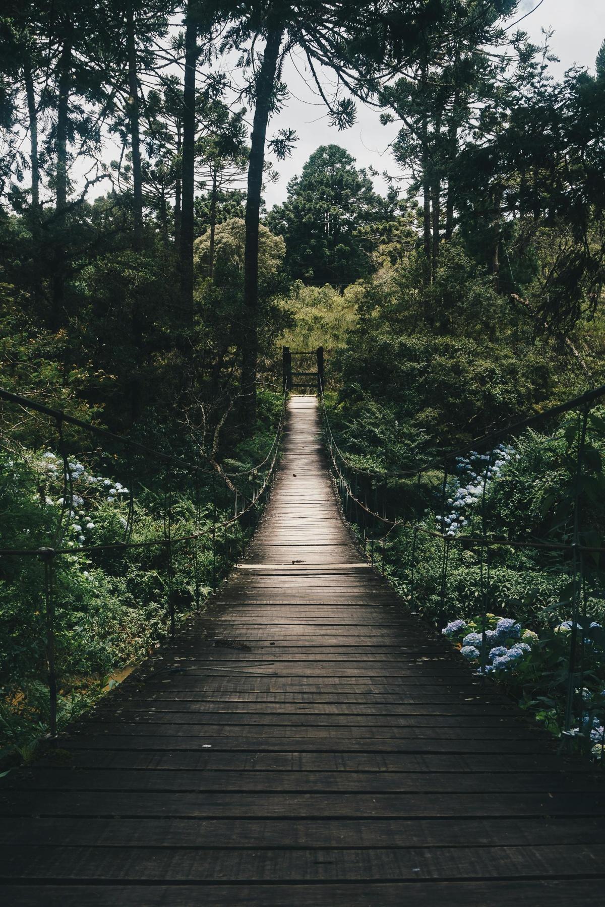 CENTER PARCS 2025 - Les inscriptions sont ouvertes !