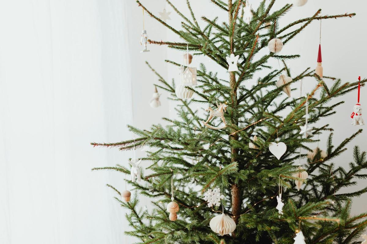 🎀 Les arbres de Noël du CSE en 2025 🎁
