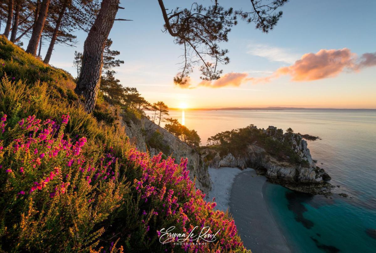 Travailler à Transfaire Travailler à Transfaire