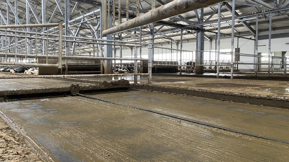 Racleurs lisier JOZ Racleurs lisier JOZ