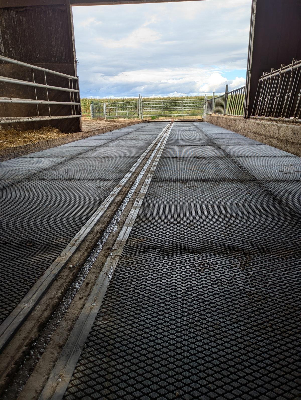 Tapis de circulation ANIMAT