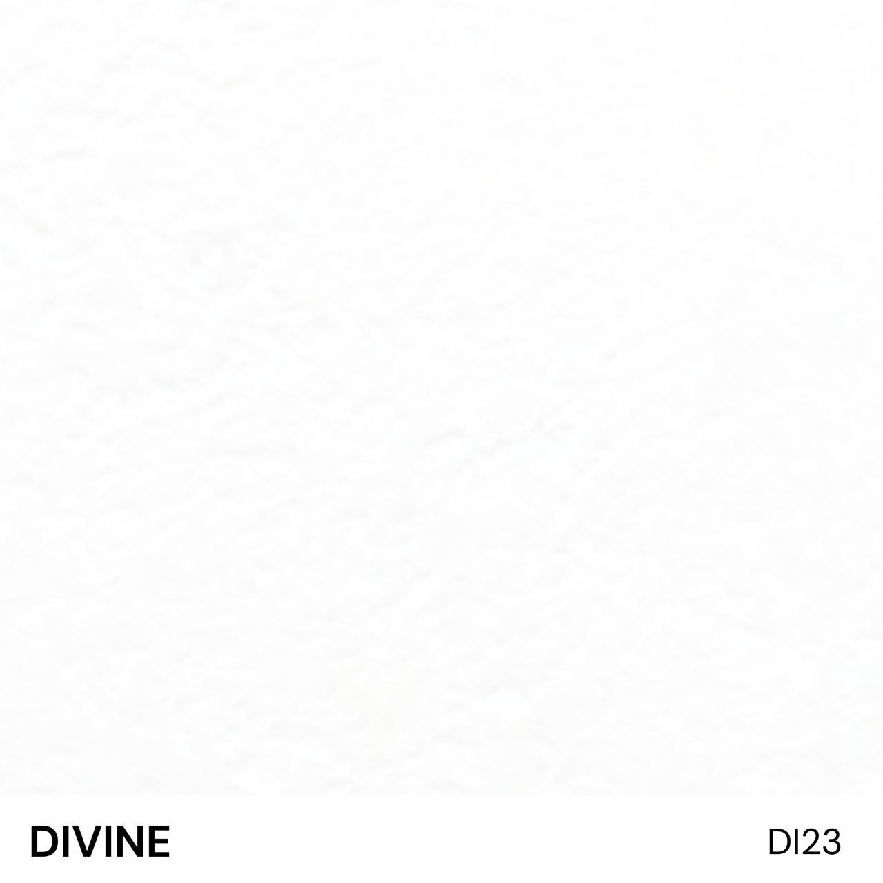 DIVINE