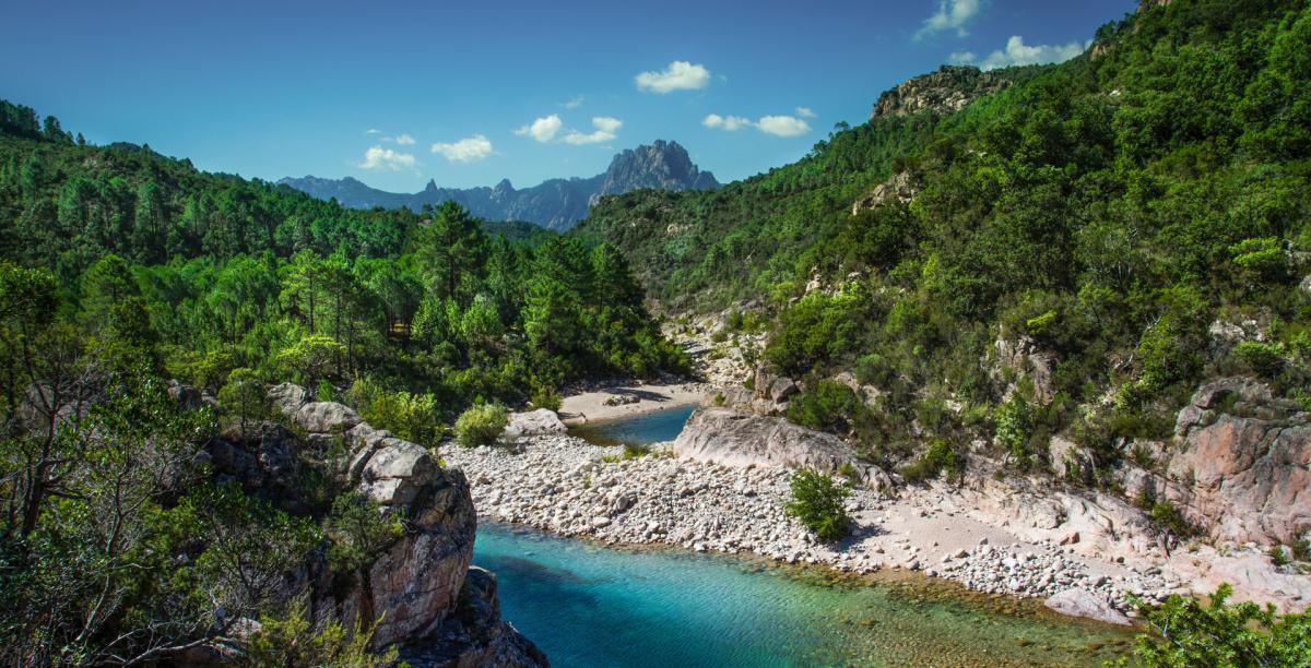 LE CAMPING LE CAMPING