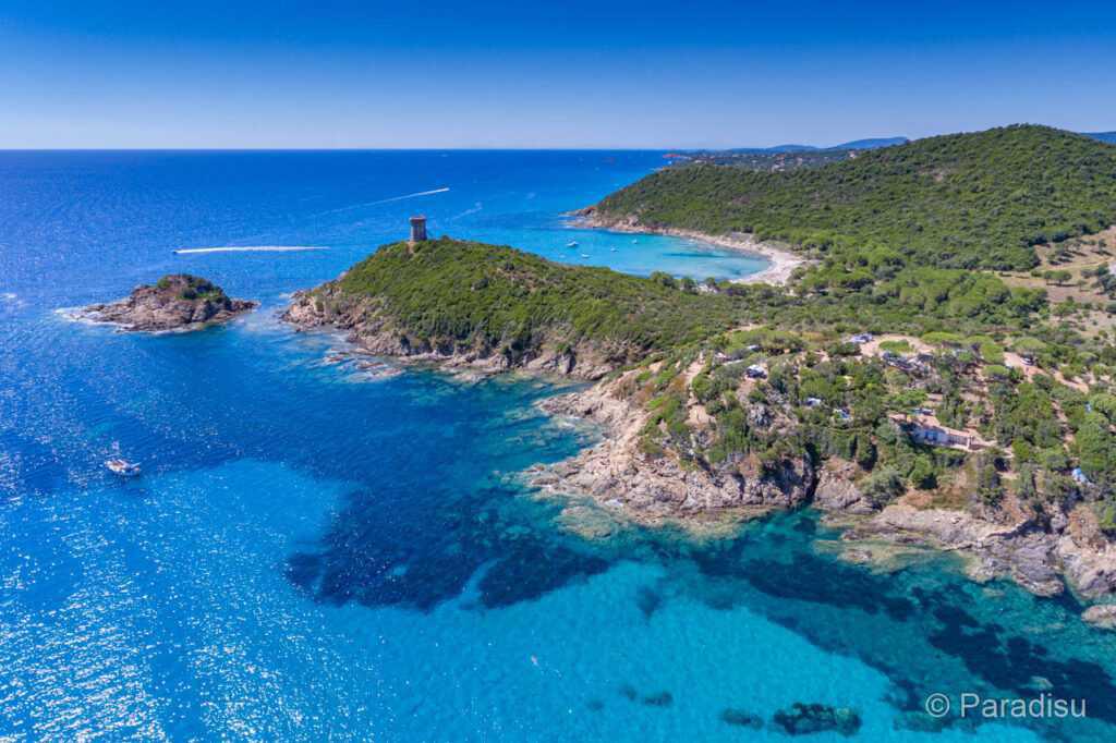 Fautea et Favona Fautea et Favona