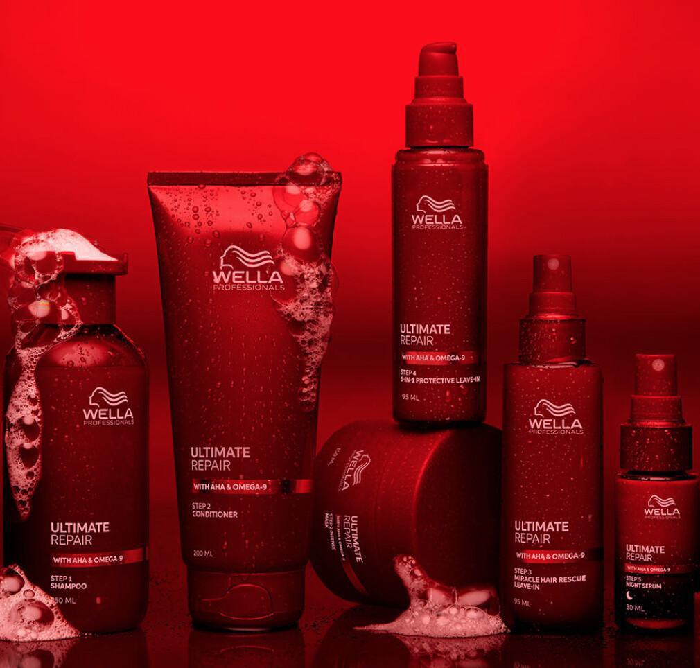 Disciplina & Controllo – Reborn