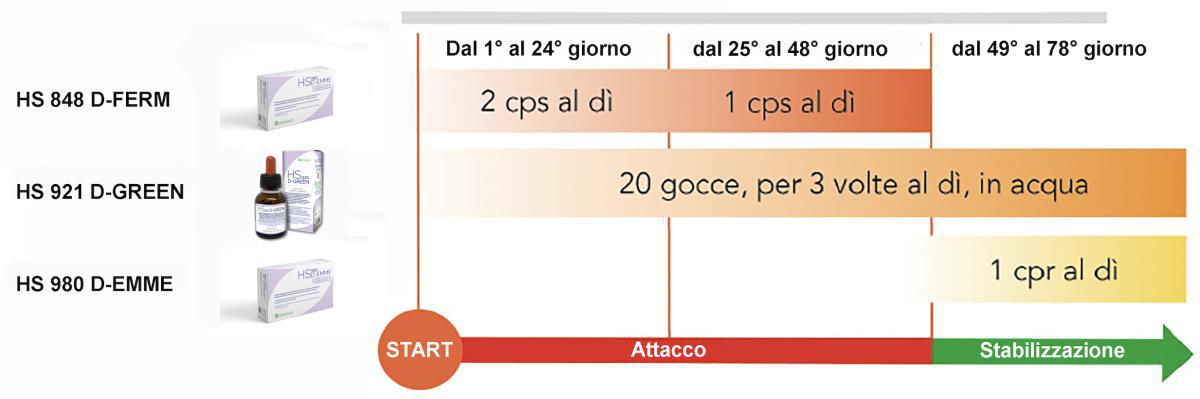 Microbiota Fermentativo