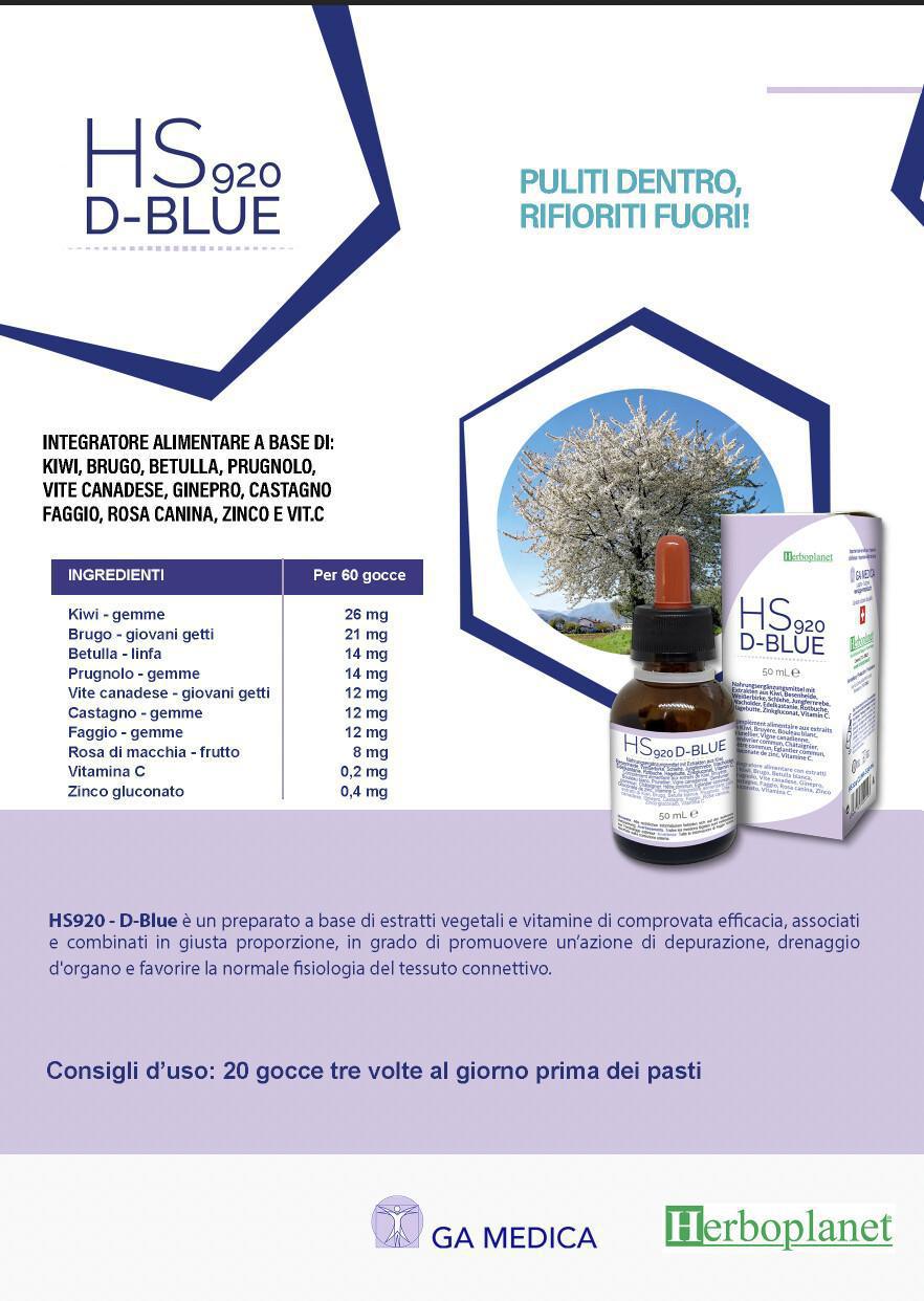 HS 920 D-BLUE