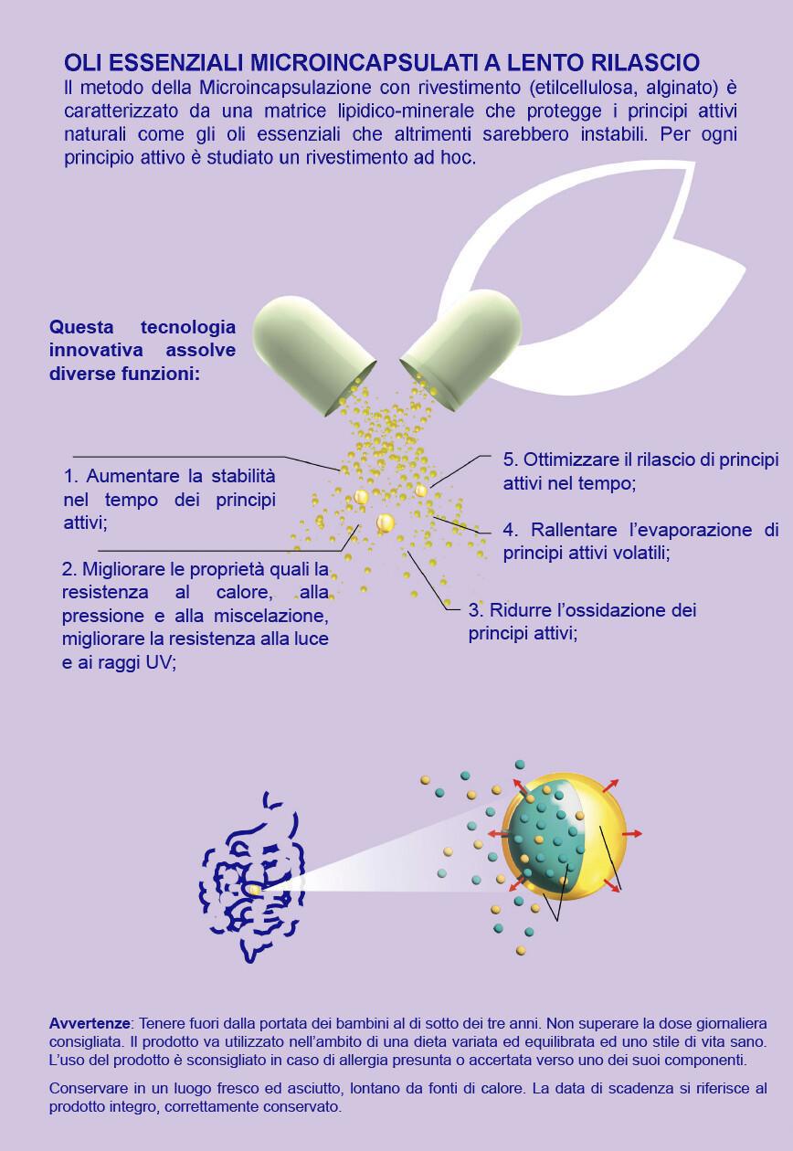 OrThySa OE