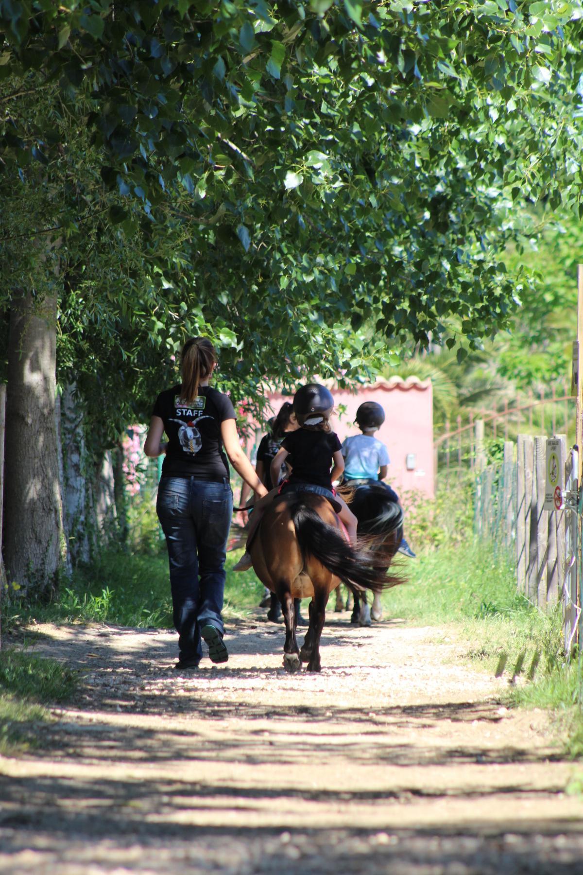 FERME DE DÉCOUVERTE - SAINT-ANDRÉ