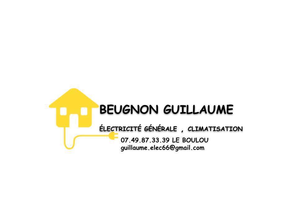 BEUGNON GUILLAUME ELECTRICIEN