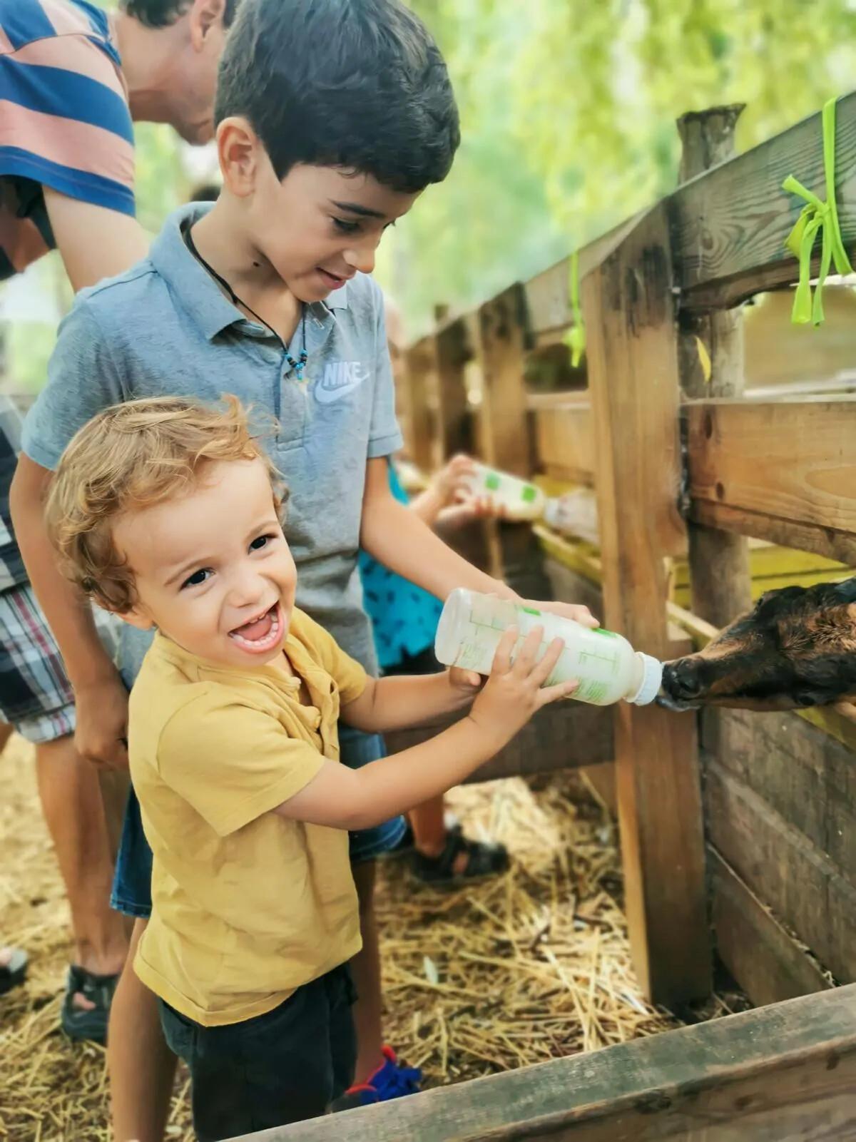 Notre top des activités de plein air à faire dans les Pyrénées-Orientales Notre top des activités de plein air à faire dans les Pyrénées-Orientales