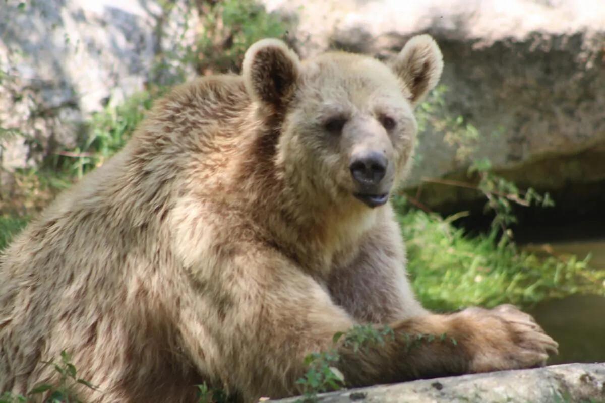 Notre top des activités de plein air à faire dans les Pyrénées-Orientales Notre top des activités de plein air à faire dans les Pyrénées-Orientales