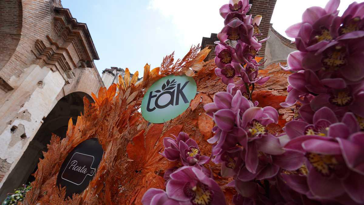  Los Follajes de TAK Se Lucen en el Festival de las Flores en Antigua
