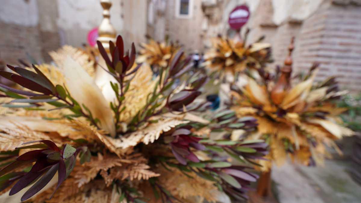  Los Follajes de TAK Se Lucen en el Festival de las Flores en Antigua