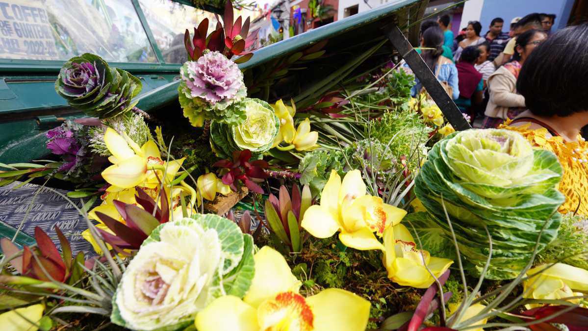  Los Follajes de TAK Se Lucen en el Festival de las Flores en Antigua