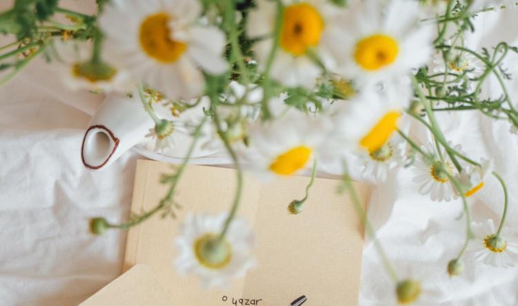 The Golden Thread of Gratitude