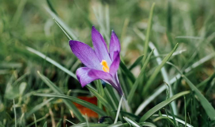 Celebrating Your Essence