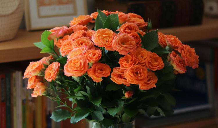 Generosity Acts: Embodying Jupiter's Benevolence through Kindness