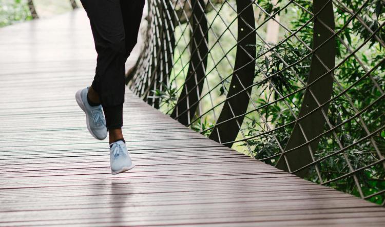 Week 3: Harmonising Body and Mind