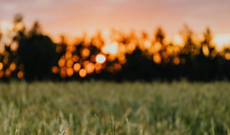 Manifesting with the Wheel of the Year