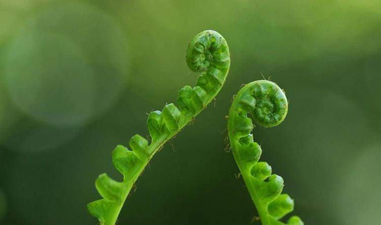 Quite Unfolding