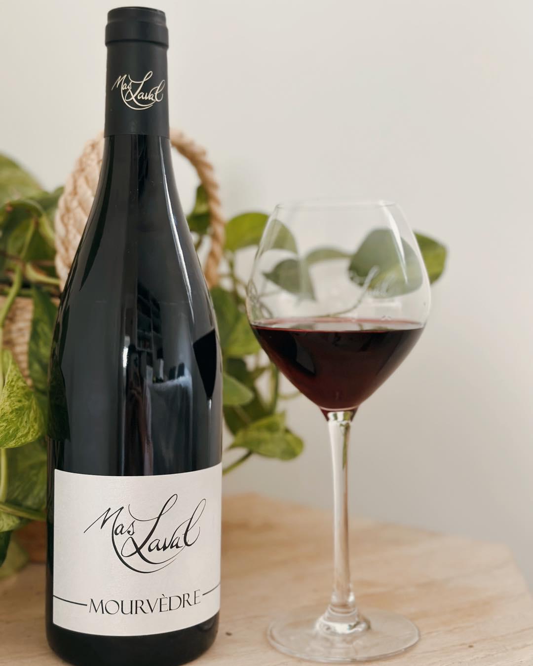 Mourvèdre Mourvèdre