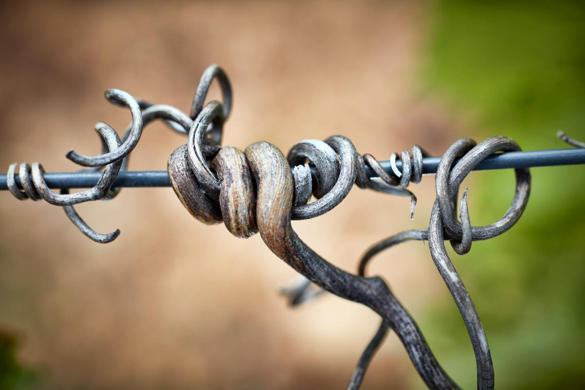 Nos Valeurs  Nos Valeurs