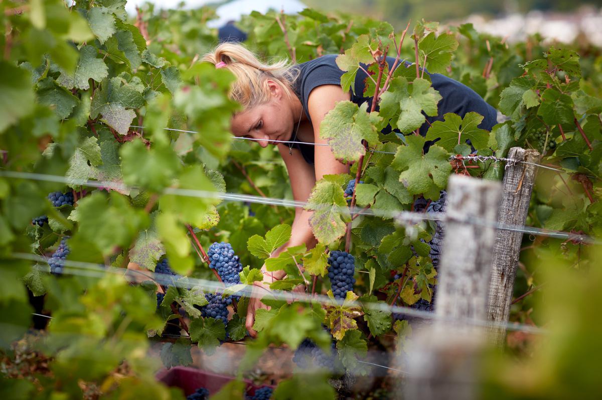 Nos Activités Nos Activités