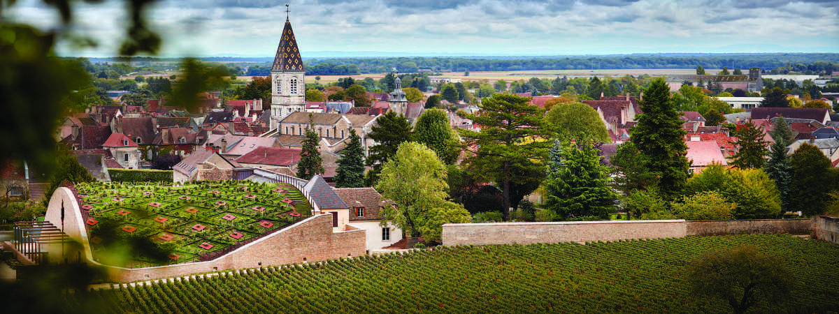 BOISSET LA FAMILLE DES GRANDS VINS  BOISSET LA FAMILLE DES GRANDS VINS