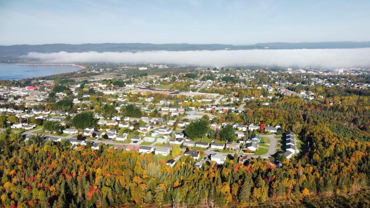Welcome to the Town of Deer Lake App!